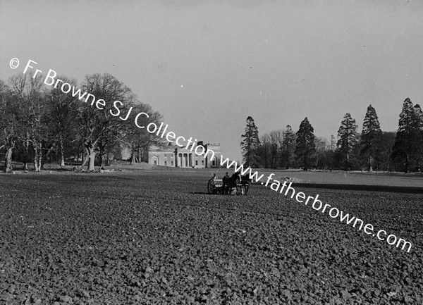 SOWING WINTER WHEAT MACHINE